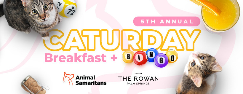 5th Annual Caturday Breakfast!
